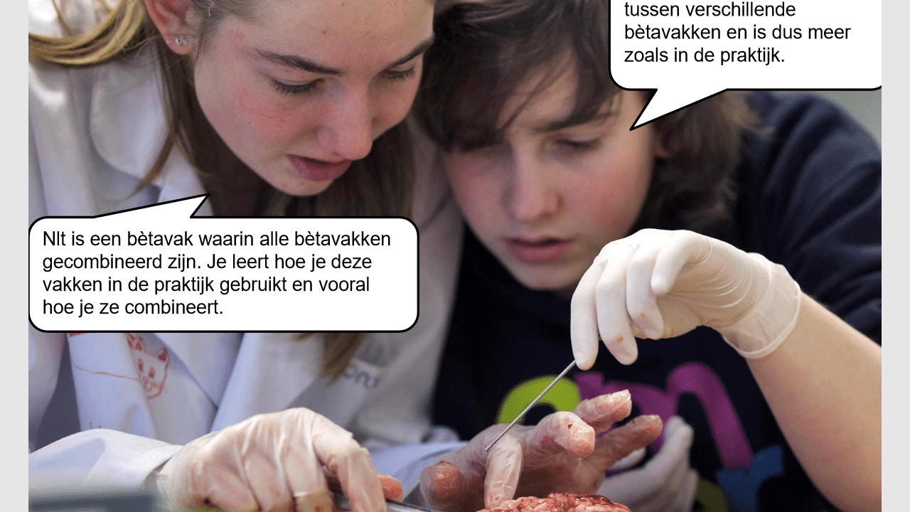afbeelding_waar_gaat_nlt_over