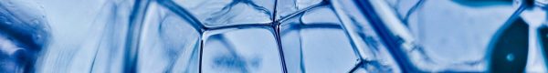 closeup photography of water bubbles